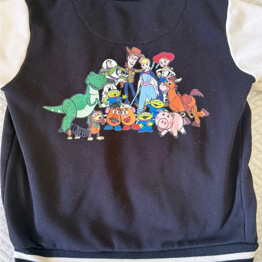 Disney Zara Bundle 4T